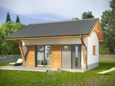 Proiect 81 — randare a casei: cabană modernă parter cu 1 dormitor și terasă